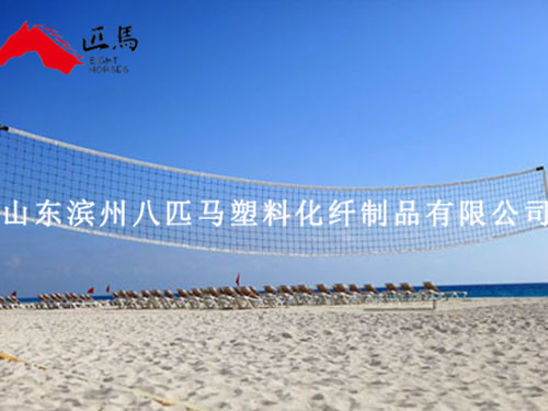 體育用網