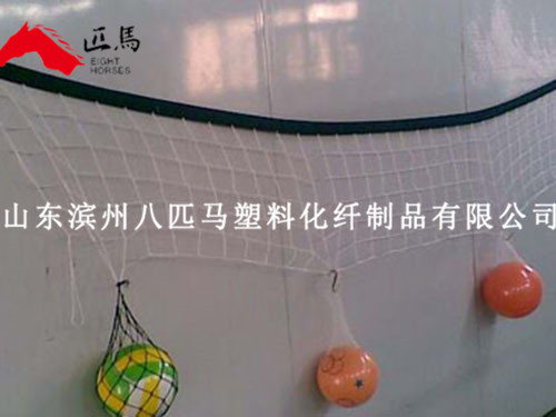 體育用網