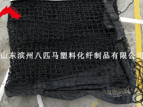 體育用網